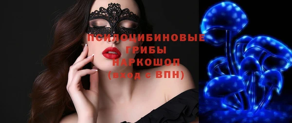 ECSTASY Алзамай