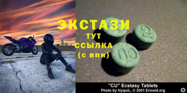 ECSTASY Алзамай